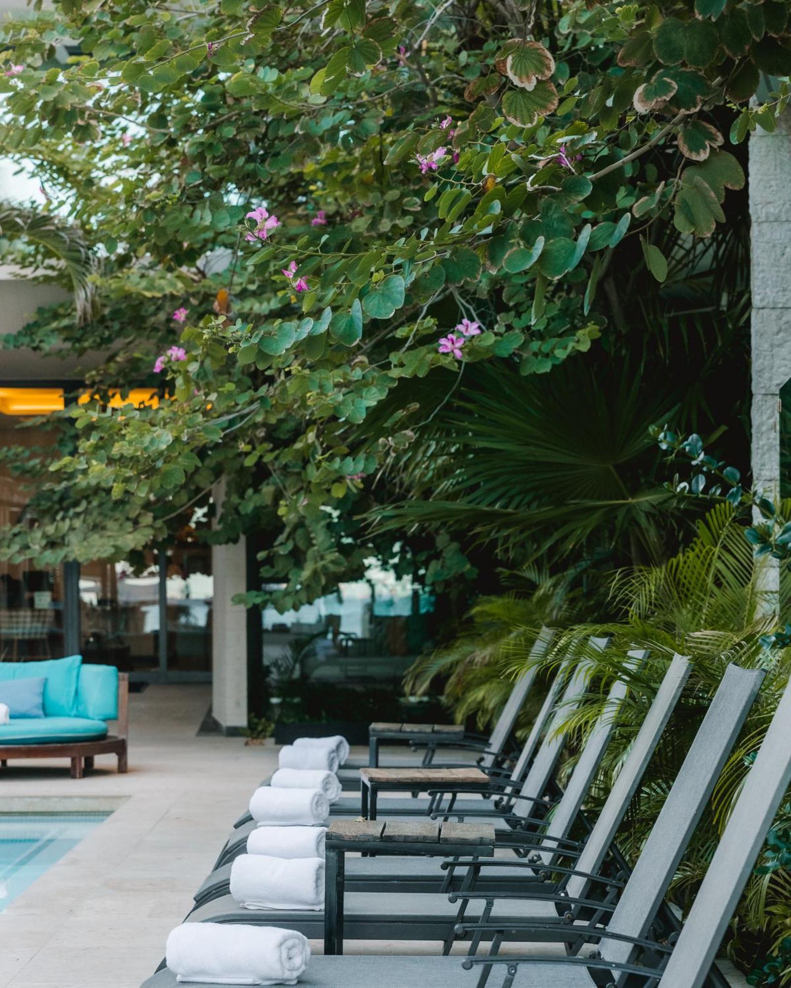Hyatt Centric Playa Del Carmen - Downtown House & Beach House (Adults Only) المظهر الخارجي الصورة